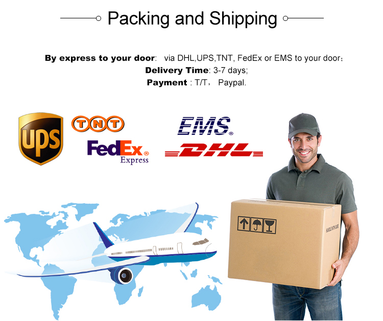 Independent Audio IP Streaming Video Encoder Iptv For Webcasting