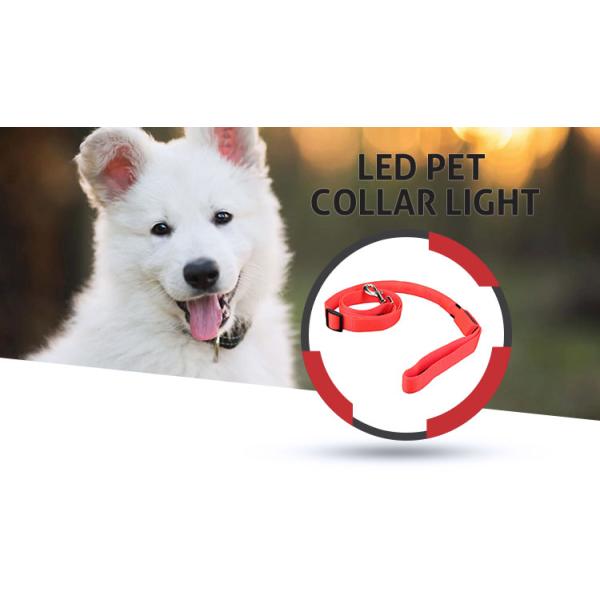 High Visibility LED Dog Leash For Pet Safe And Night Walking Eco Friendly