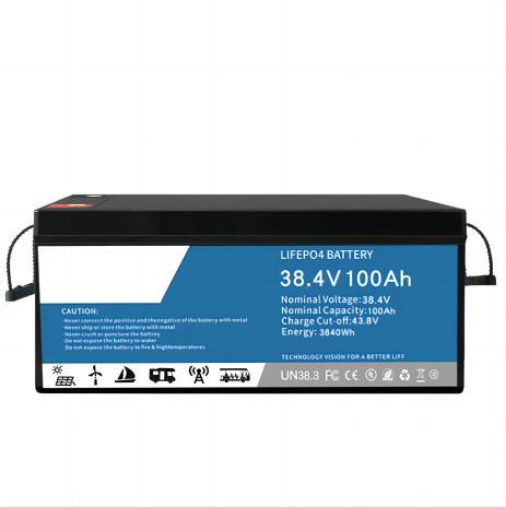 Quality 0.2C Discharging LifeP04 Lithium Battery 100ah Multifunctional For Data Center Backup for sale