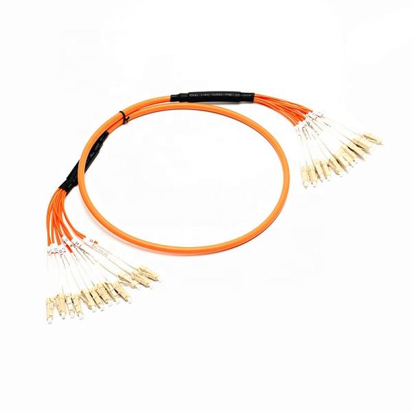 1310nm OM2 2.0mm 12C Multimode Fiber Optic Patch Cords