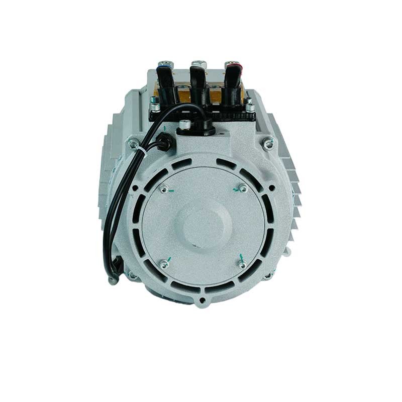 Electric Patrol Vehicle Motor