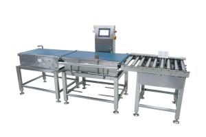 China Conveyor Weight Checker With Reject System Utomatic Weight Checker Conveyor Dynamic Food Bottle on sale