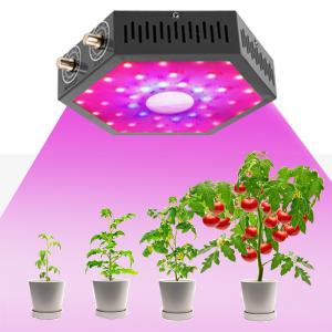 China 1000W Led grow lights full spectrum plant growing lamp switch full spectrum on sale