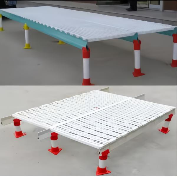 Fully Automatic Animal Feeders Plastic Chicken Feeders And Drinkers