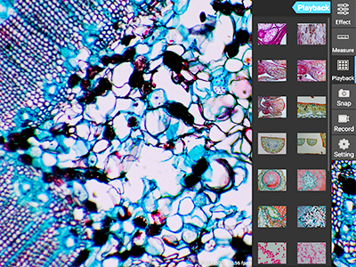 OPTO-EDU 10.5" LCD Pad Forensic Comparison Microscope with 2x~240x Magnification and 4K Resolution for Laboratory and Research