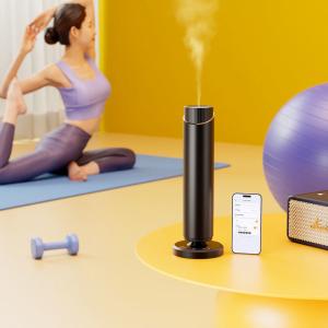 Wholesale Small-Capacity Essential Oil Aromatherapy Diffuser for Spa Centers – Anti leakage &amp; Waterless Technology from china suppliers