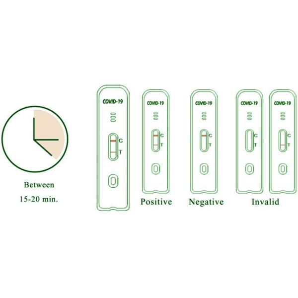 SARS-CoV-2 Antigen Swab Test Kit 10 Tests/Kit CE For Nasal Rtk Antigen Saliva Test