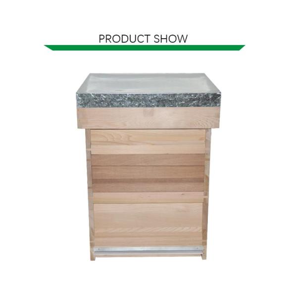 China Fir National Beehive 10 Frame 3 Layers With Brood Box