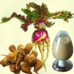 Wholesale Pure natural Peru maca root powder maca extract --Macamide Macaenes from china suppliers