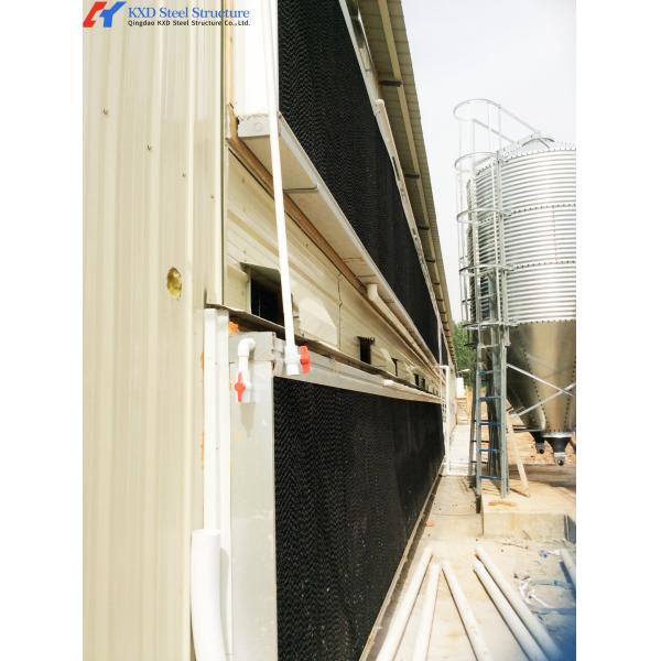 Fully Automatic Animal Feeders Plastic Chicken Feeders And Drinkers