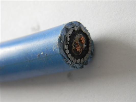 Quality Data And Computer Stranded Tinned Copper Wire Cable CU / PE / PVC 2x2x1mm2 for sale