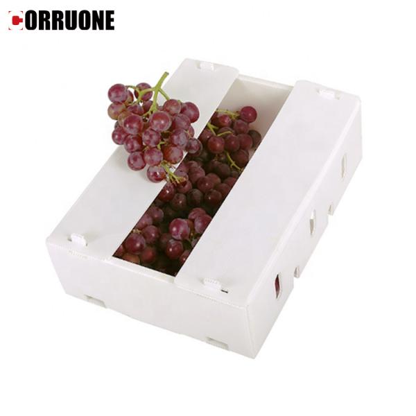 Custom made cheap pp corrugated plastic storage box with lid