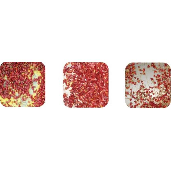 Shape Selection Chilli Color Separator Machine 400 - 600Kg/H 8.2kw Single / Double Layer