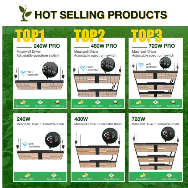 240W LM301B LED Grow Light