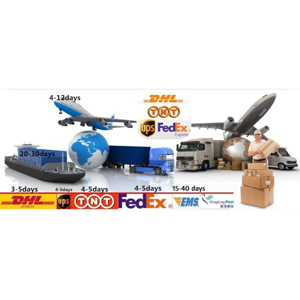 Shockproof TPU Iphone 12 Smartphone Protective Case