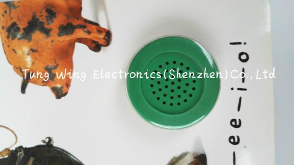 Quality Indoor Children Button Sound Book with 33mm Round Custom Sound Module for sale