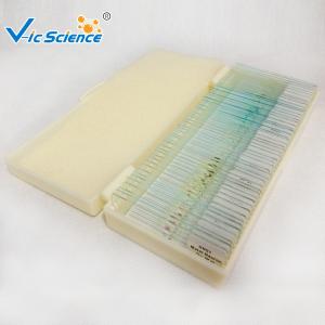 Wholesale Specimen Biological 50pcs Microscope Glass Slides Set from china suppliers
