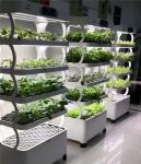 Home Intellect Vegetable Machine And Multi Layer Vertical Intelligent Planter