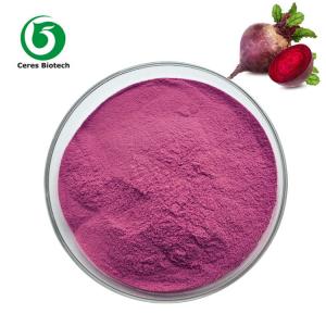 Wholesale 100% Organic Red Beet Root Extract Powder For Food And Fruit Juice Concentration from china suppliers