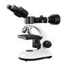Buy cheap Economic Optical Light Microscope , Monocular Compound Light Microscopy from wholesalers