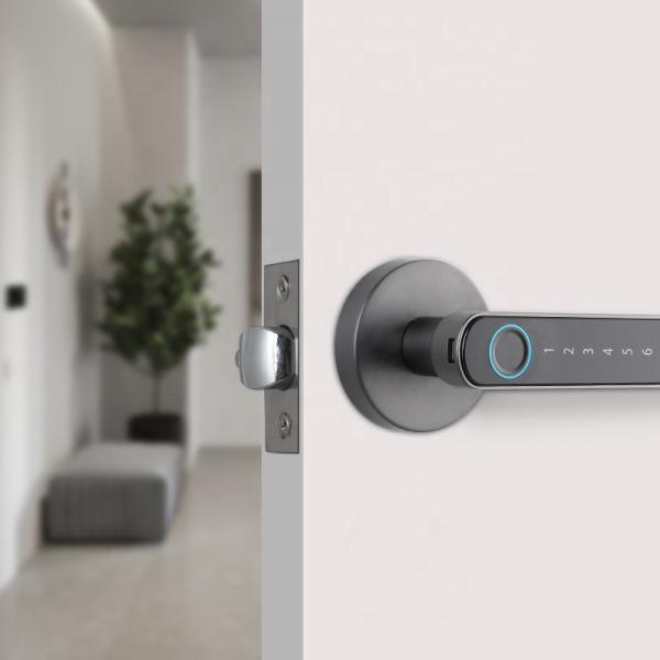 Quality Multifunctional Wifi Smart Door Lock / Keypad Electronic Door Lock With Key for sale