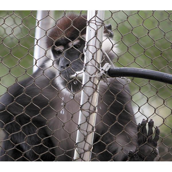 Ss 316 Stainless Steel Wire Rope Ferrule Mesh Netting For Balustrade