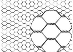 Wholesale Galvanized PVC Coated Chicken Wire Mesh 20g/m2-60g/m2 Zinc Coated Rust Resistant from china suppliers