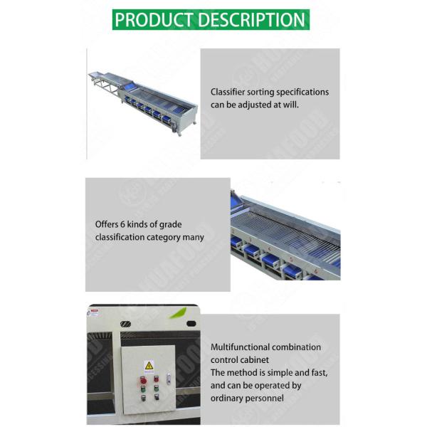 3t/H Electric Tomato Carrot Sorting Machine 220V 1.85KW