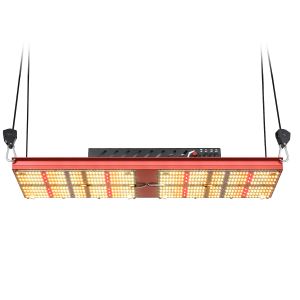 2x4 SAMSUNG LM301H Quantum Board