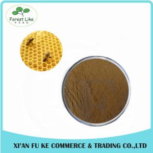 Wholesale Water Soluble Propolis Extract Powder for Keeping Good Health from china suppliers