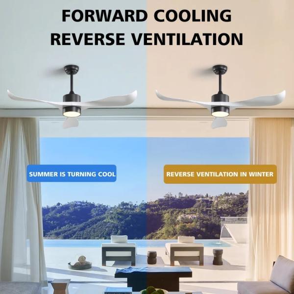 52 Inch Bldc Ceiling Fan Modern 3 Abs Blades Chandelier LED Ceiling Fans With Light