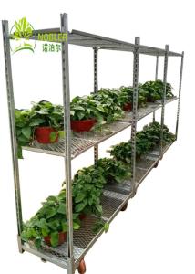 Wholesale Versatile Stackable Cargo Shipping Container With Multiple Shelves from china suppliers