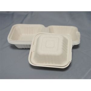 6" Hamburger Biodegradable Sugarcane Plates Restaurants
