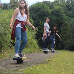 Wholesale Automatic Manual Onewheel Surfboard With One Big Wheel In The Middle from china suppliers