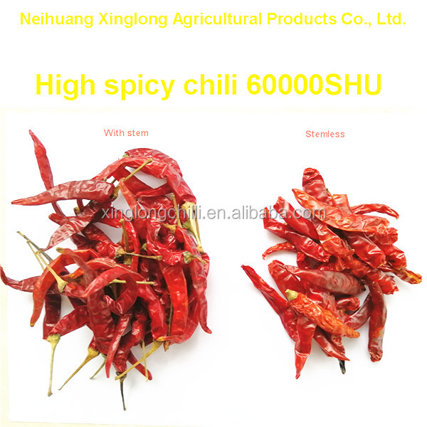 New Crop super high quality spicy dried chilli