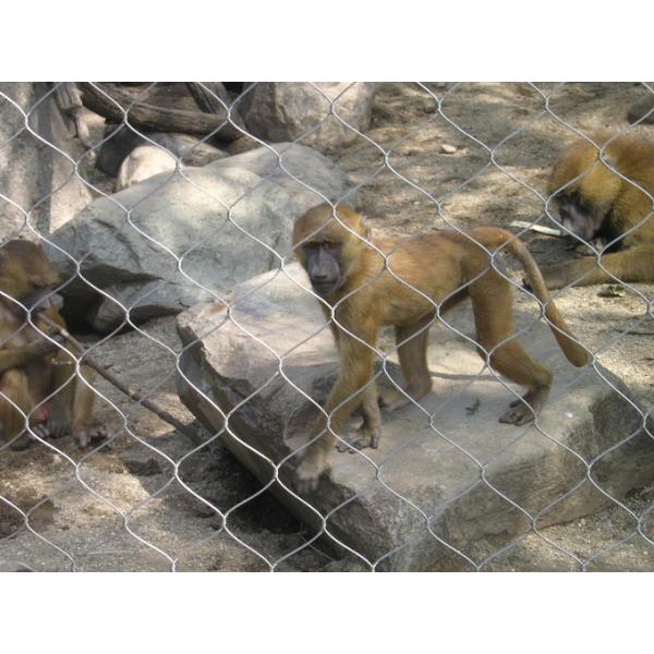 7 X 7 Stainless Steel Ferrule Rope Mesh High Strength Fence For Animal Cages