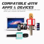 2017 new improved version Micgeek Q9S Karaoke player micgeek dsp q9s