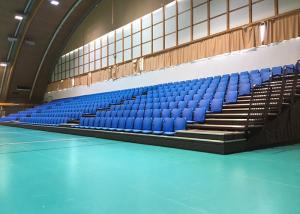 Wholesale Multi Purpose Hall Modular Grandstands With Recessed Number Plates from china suppliers
