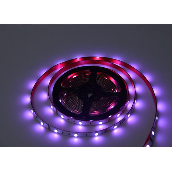 Sound Activated 24 Key IP20 30lamp/M RGBW LED Strip Light