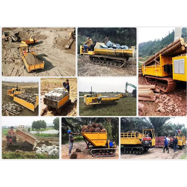 Garden Multi Functional Track Transporter Crawler Type 0.8- 6L Engine Capacity 3