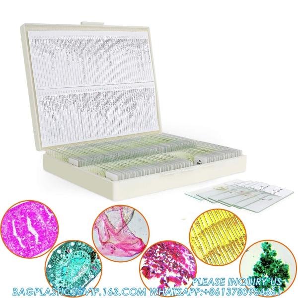 Microscope Slides With Specimens For Kids, Prepared Microscope Slides Plants
