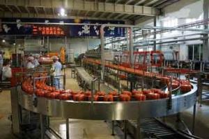 China Beverage Automatic Production Line Fruit / Vegetable For Juice Blends on sale