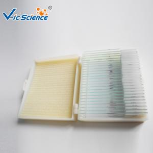 Wholesale Beginners Microscope Glass Slides 12 Pcs Prepared Microscope Slides Set from china suppliers