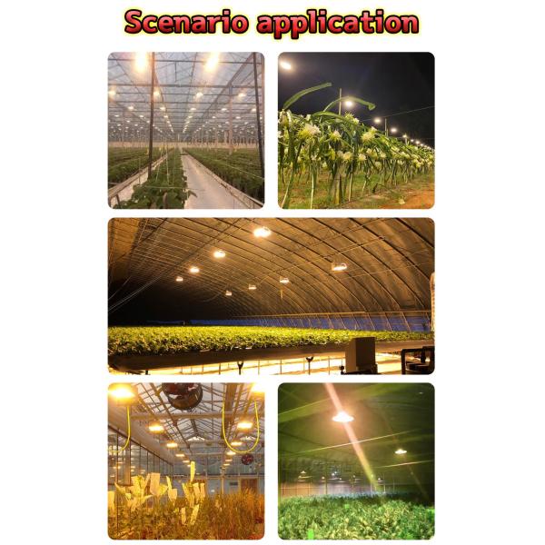100W LED COB Chip