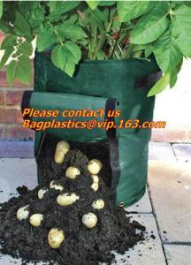 China Gallon Garden Bags 1-Pack Heavy Duty Reusable Yard Leaf Bag Holder Collapsible Canvas Portable Yard Gardening Waste Bag on sale