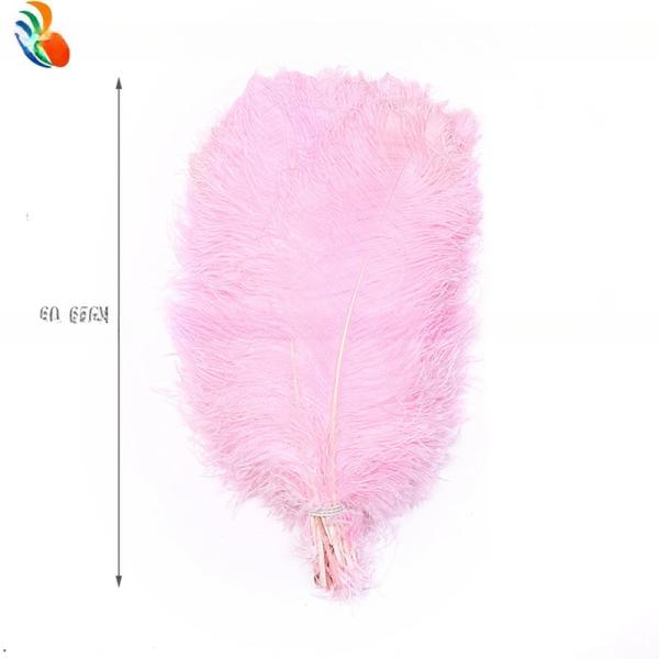 Ostrich Feather for Millinery Supplies EMS Shipping Party and Carnival Decoration