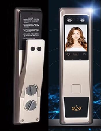 Quality IC Card Facial Detection Smart Lock 3D Anti-Counterfeiting for sale
