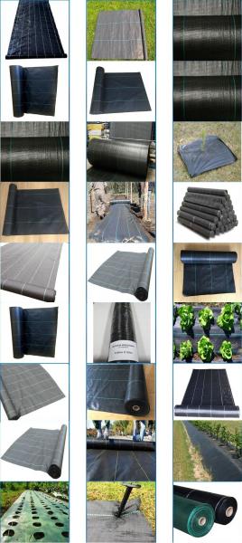 Black out greenhouse garden greenhouse film greenhouse PC &glass greenhouse,Poly plastic film green house for cucumber