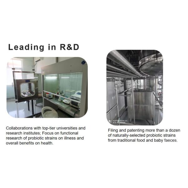 Pineapple Flavor Powder 500g for Biscuits and Confectionery