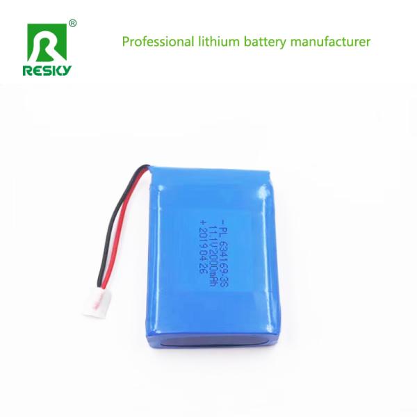 Portable Lithium Polymer Battery Cell 104060 3000mAh 3.7V 4.2V Lipo Batteries